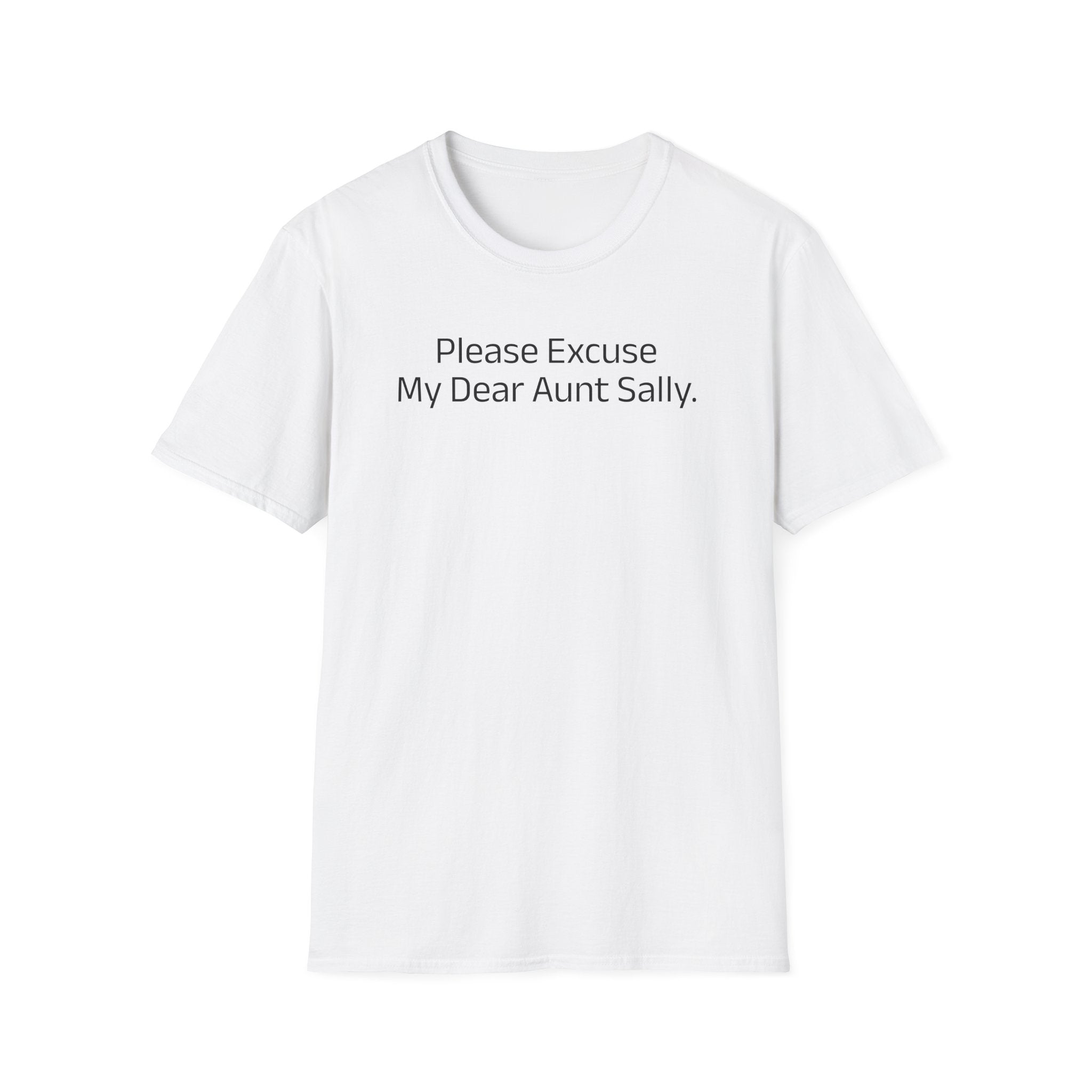 'Please Excuse My Dear Aunt Sally' T-Shirt | Mathematical Order of Operations Humor Tee - Deez Teez