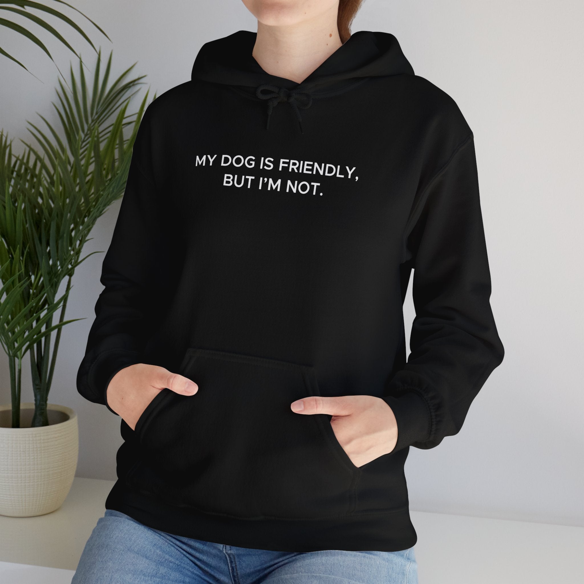 'My Dog Is Friendly, But I'm Not' Hoodie | Funny Dog Owner Warning Sweatshirt - Deez Teez