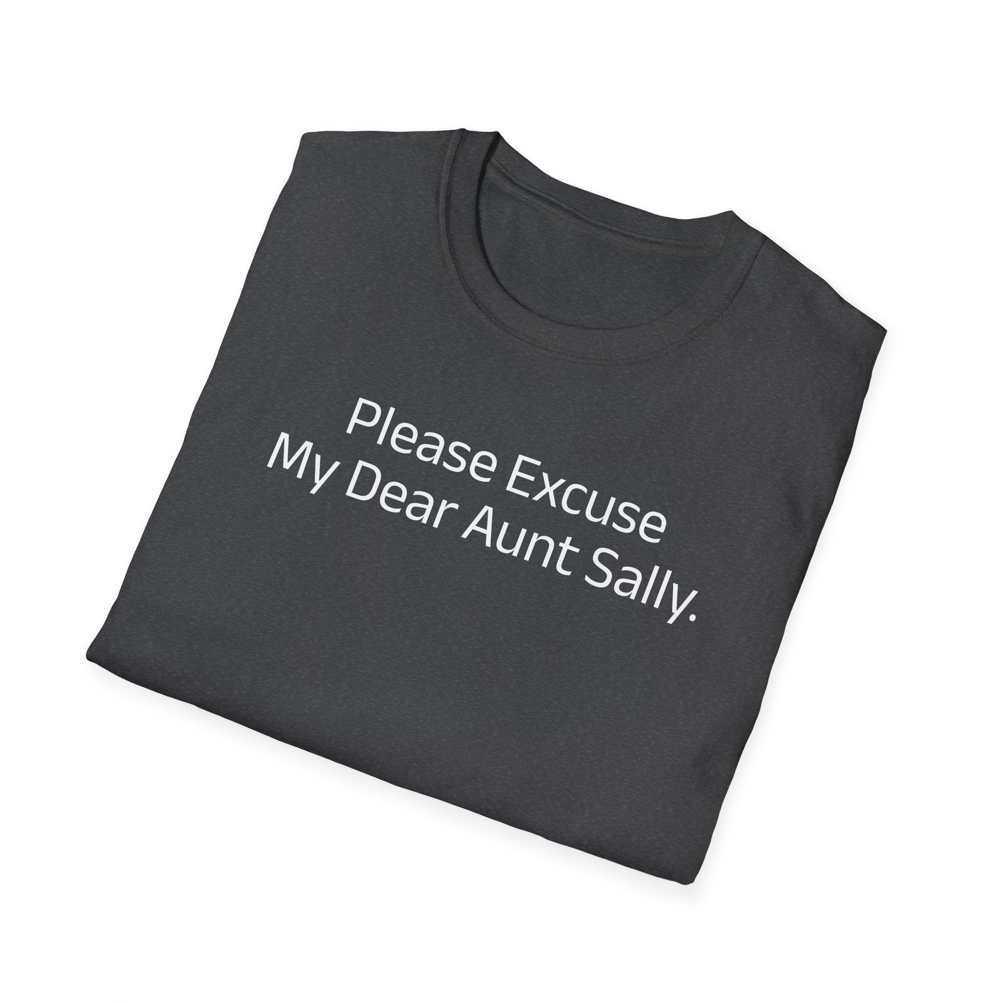 'Please Excuse My Dear Aunt Sally' T-Shirt | Mathematical Order of Operations Humor Tee - Deez Teez