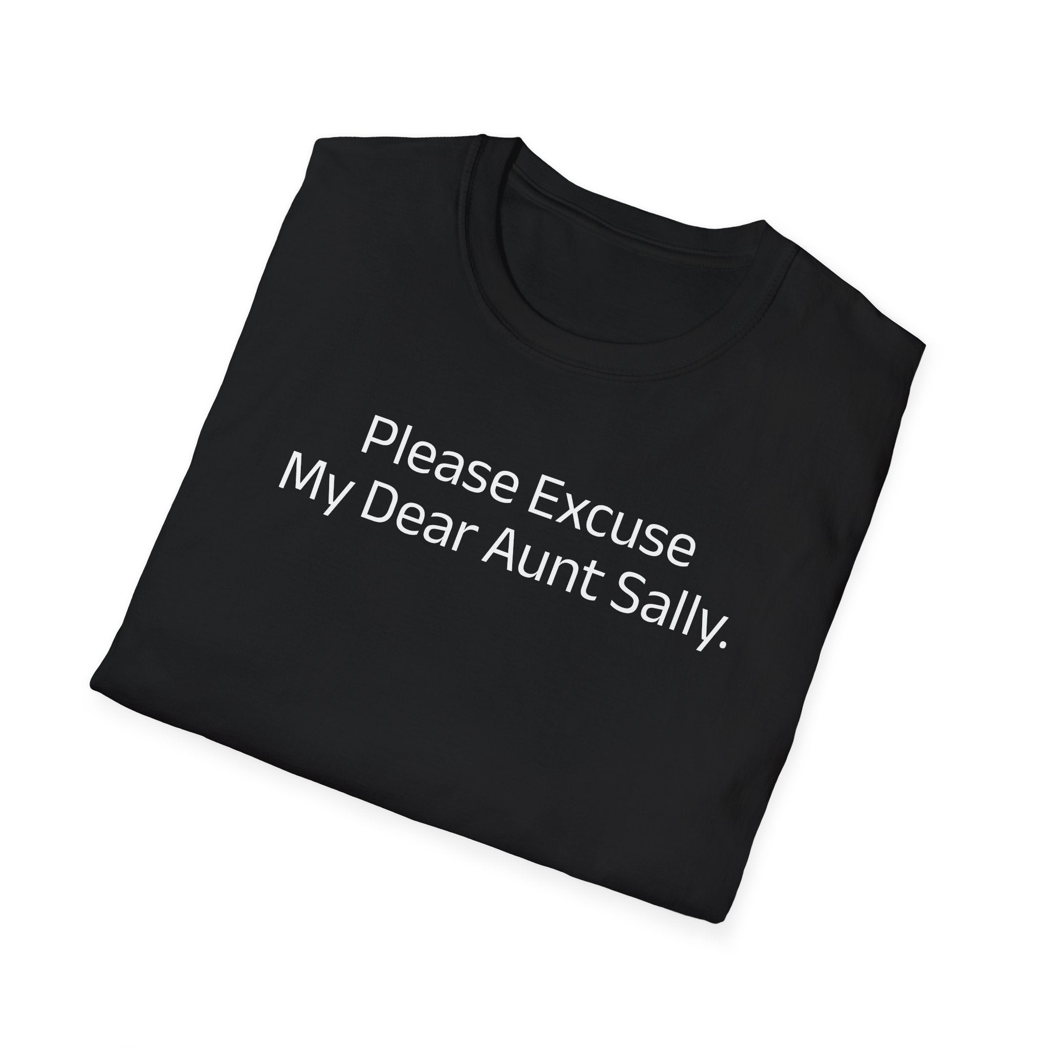 'Please Excuse My Dear Aunt Sally' T-Shirt | Mathematical Order of Operations Humor Tee - Deez Teez