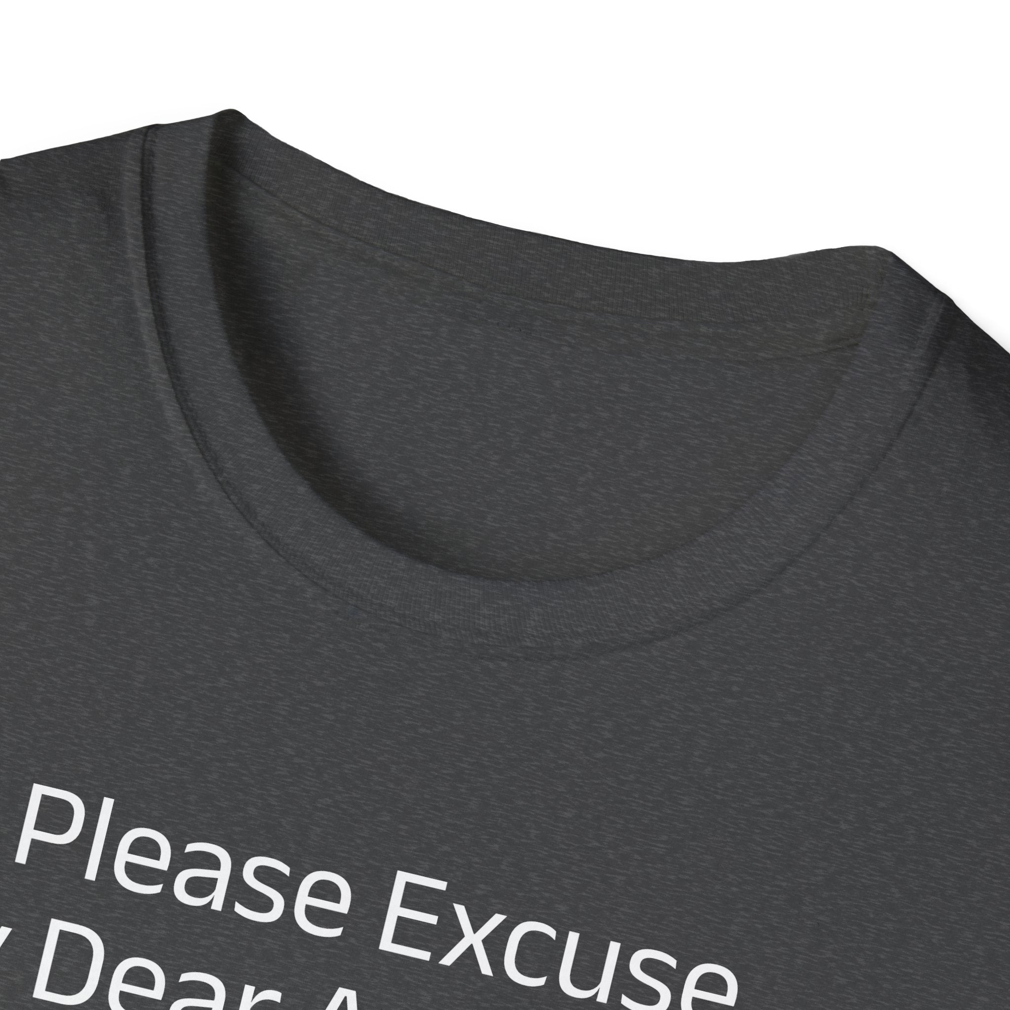 'Please Excuse My Dear Aunt Sally' T-Shirt | Mathematical Order of Operations Humor Tee - Deez Teez