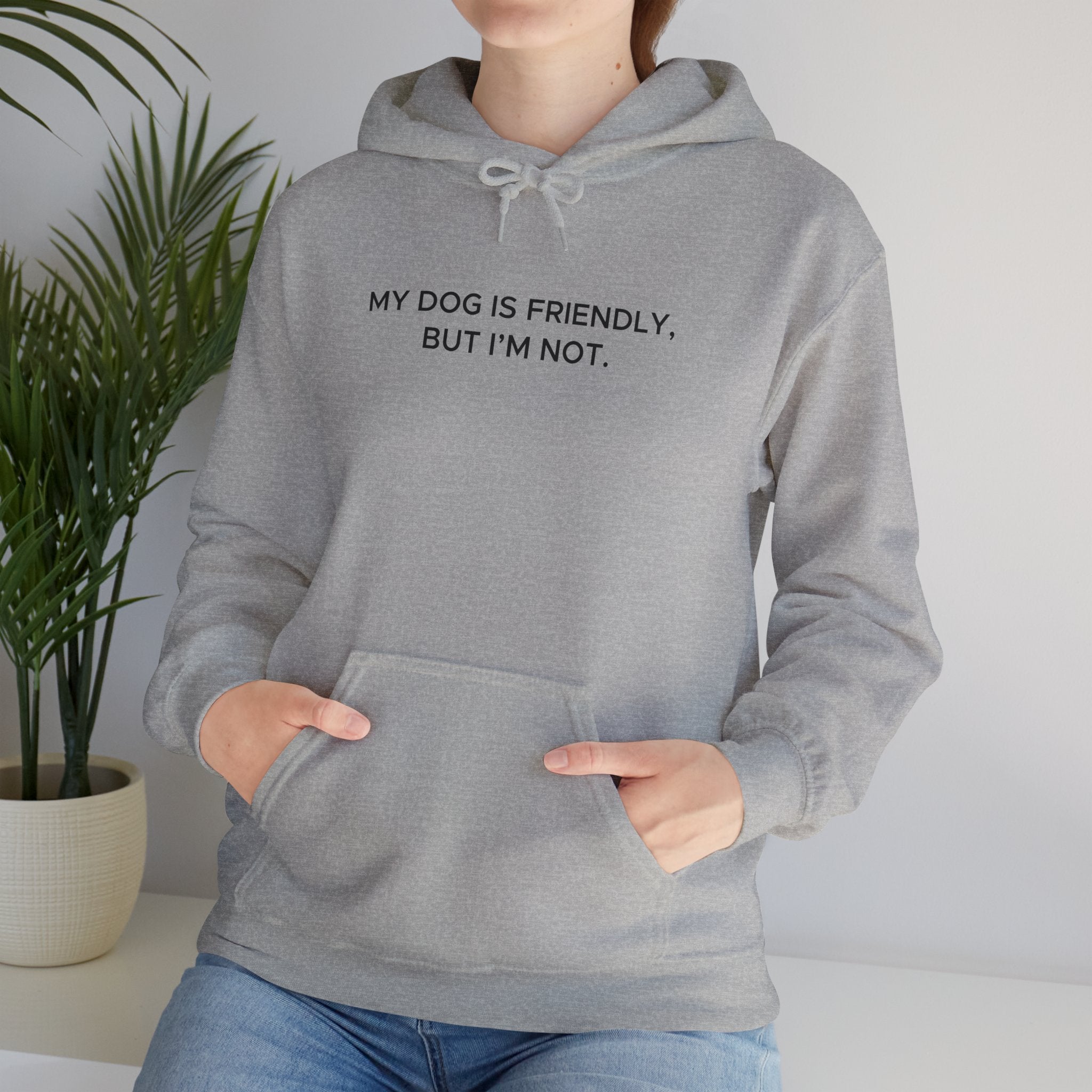'My Dog Is Friendly, But I'm Not' Hoodie | Funny Dog Owner Warning Sweatshirt - Deez Teez