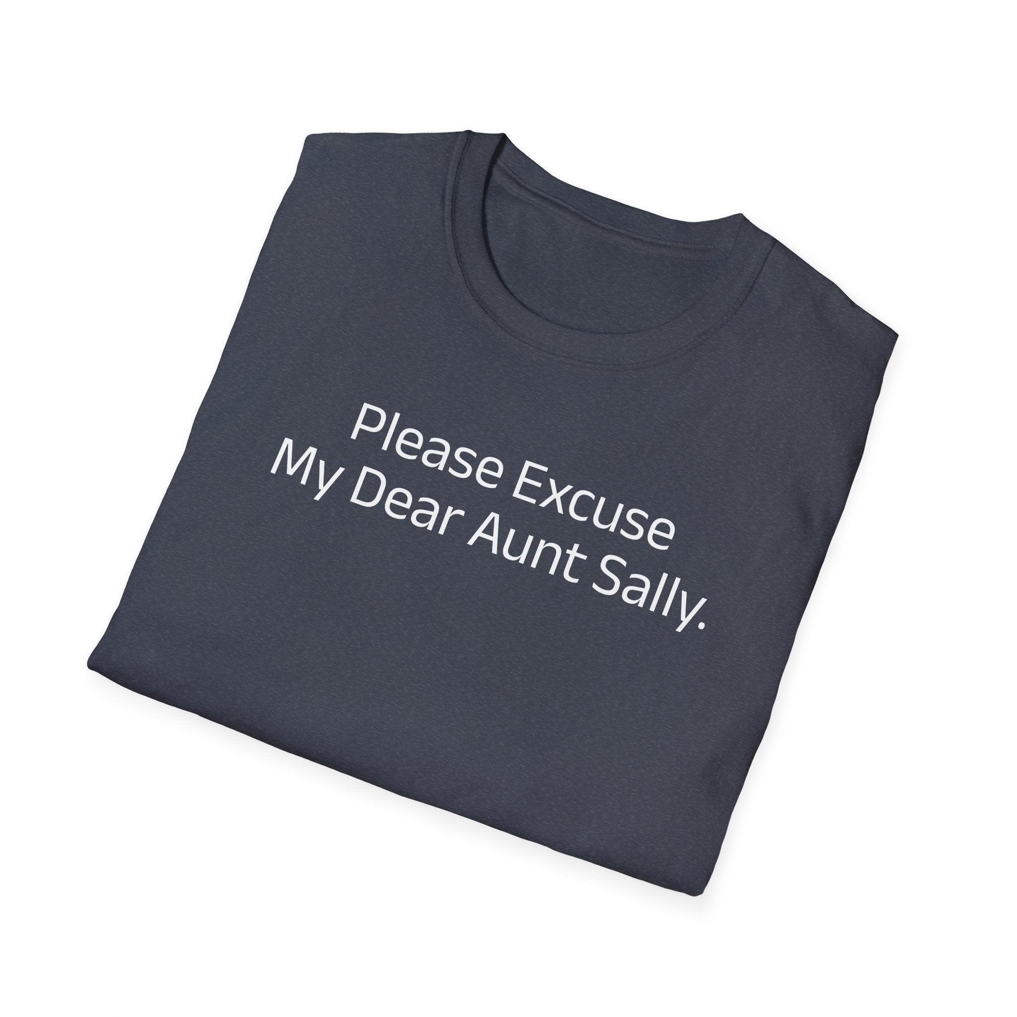 'Please Excuse My Dear Aunt Sally' T-Shirt | Mathematical Order of Operations Humor Tee - Deez Teez