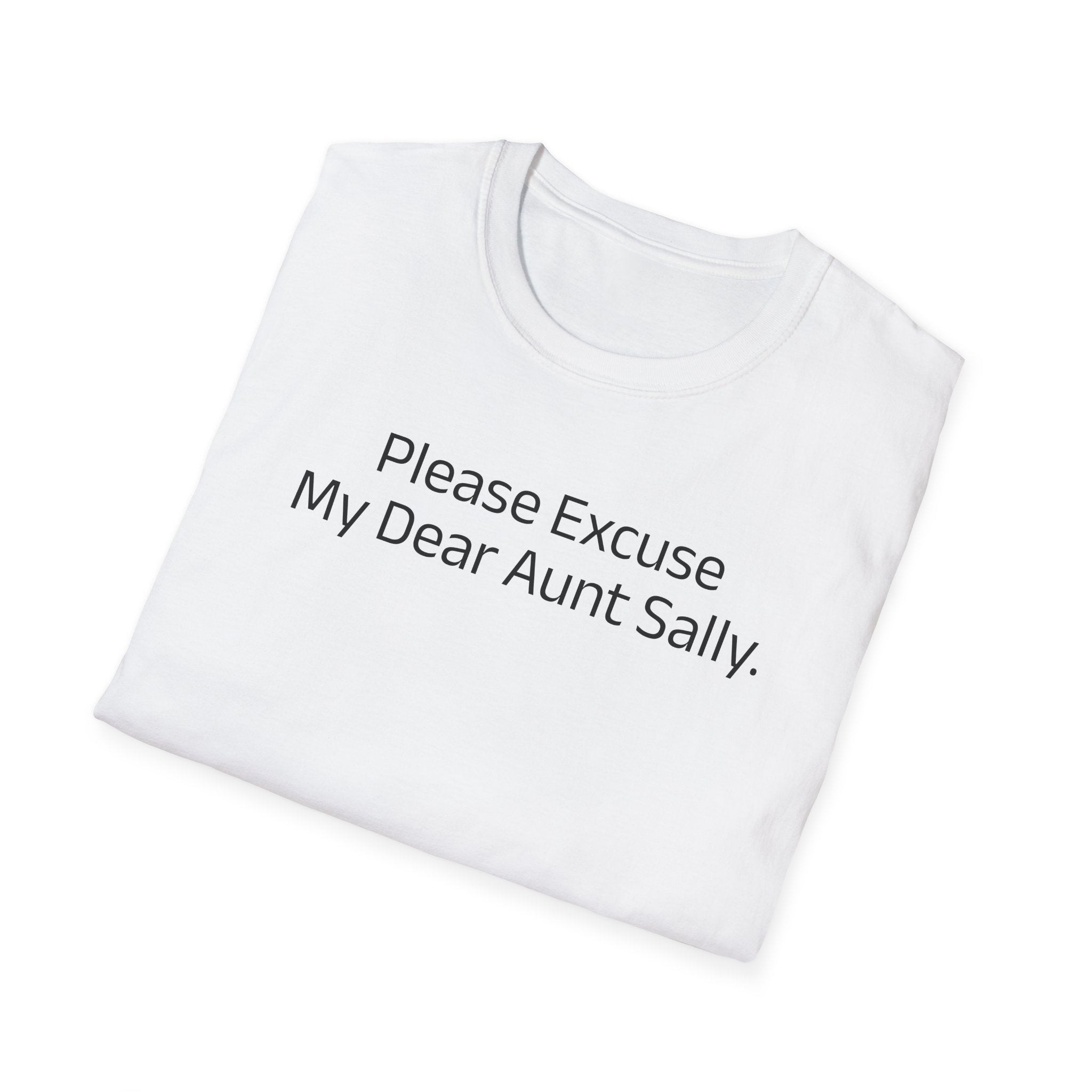 'Please Excuse My Dear Aunt Sally' T-Shirt | Mathematical Order of Operations Humor Tee - Deez Teez