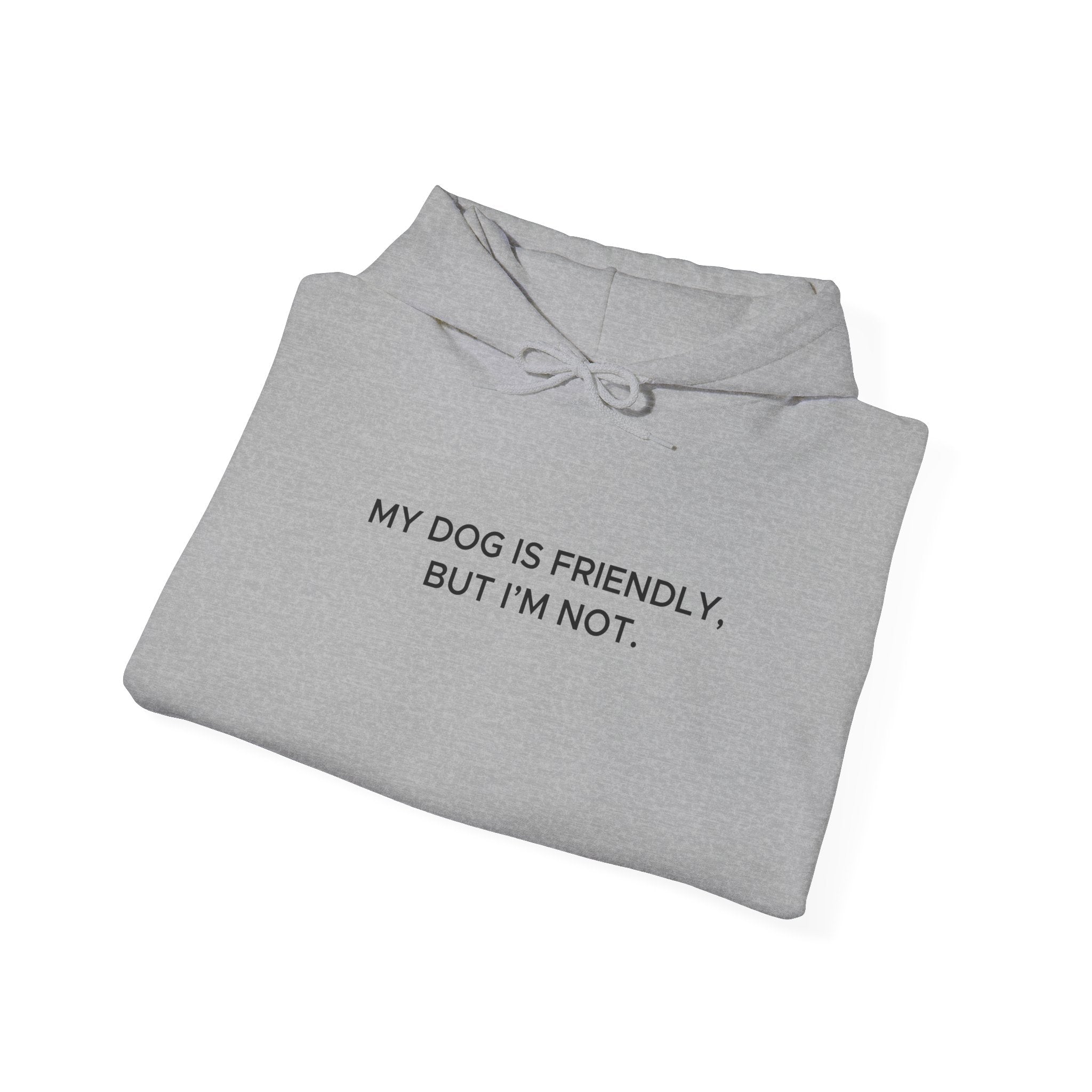 'My Dog Is Friendly, But I'm Not' Hoodie | Funny Dog Owner Warning Sweatshirt - Deez Teez