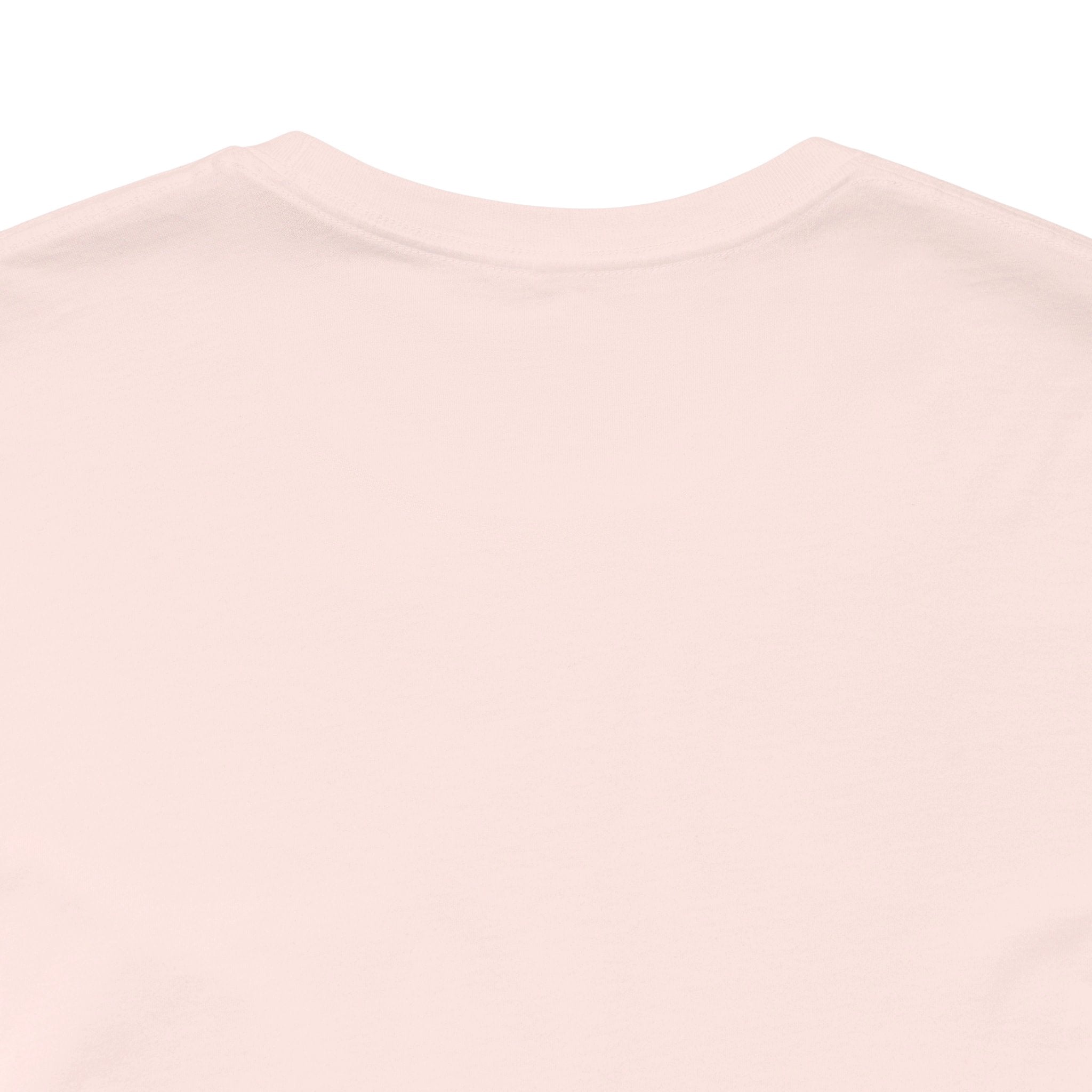 I Have No Pronouns (Do Not Refer To Me) T-Shirt | Relatable Introvert Clapback - Deez Teez