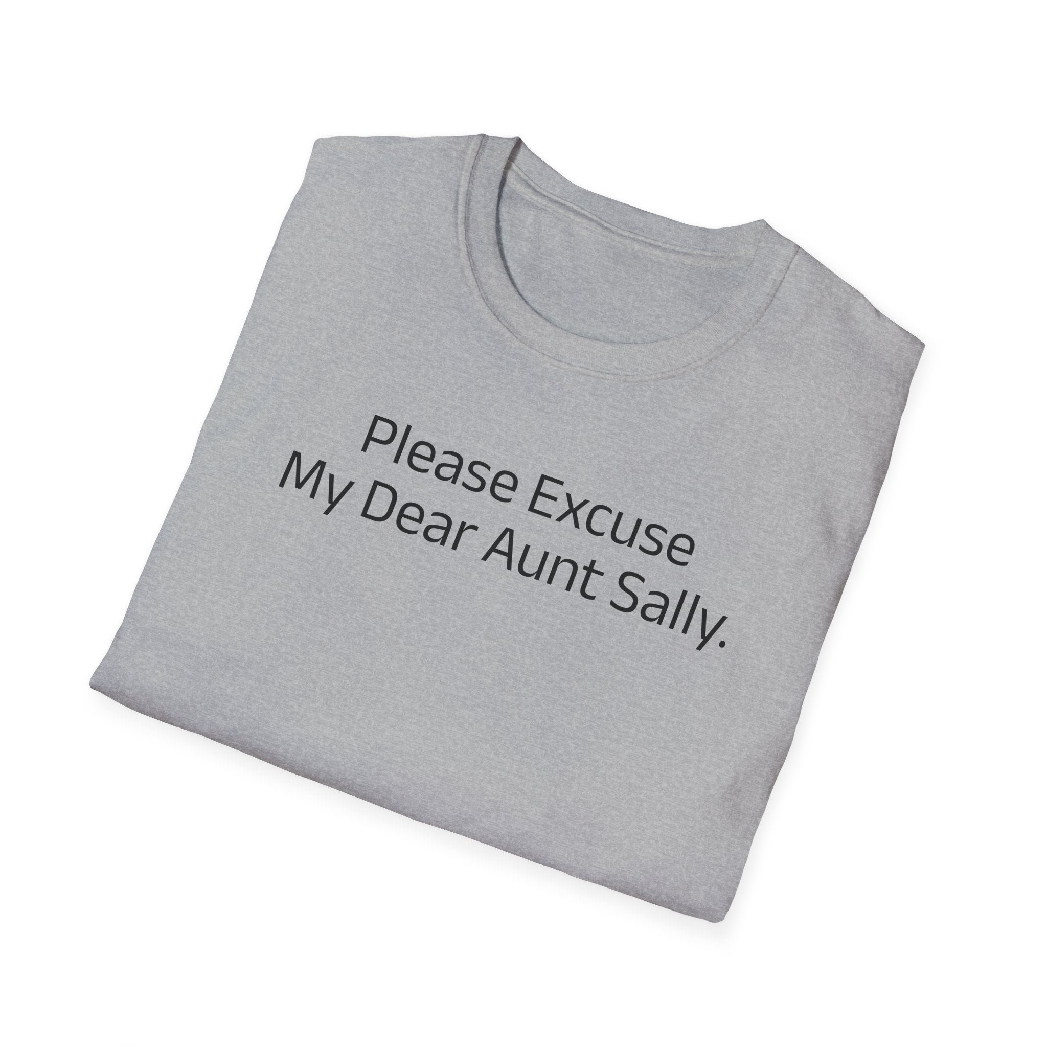 'Please Excuse My Dear Aunt Sally' T-Shirt | Mathematical Order of Operations Humor Tee