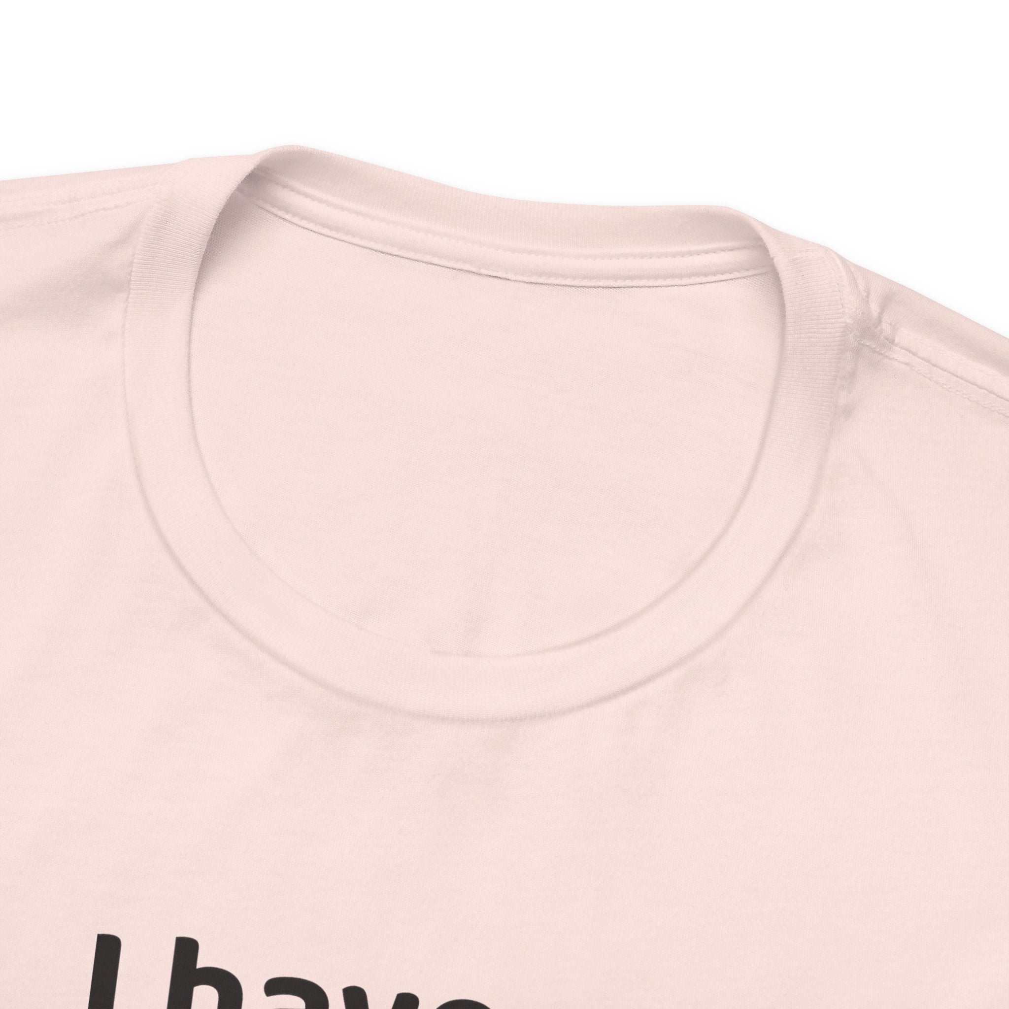 I Have No Pronouns (Do Not Refer To Me) T-Shirt | Relatable Introvert Clapback