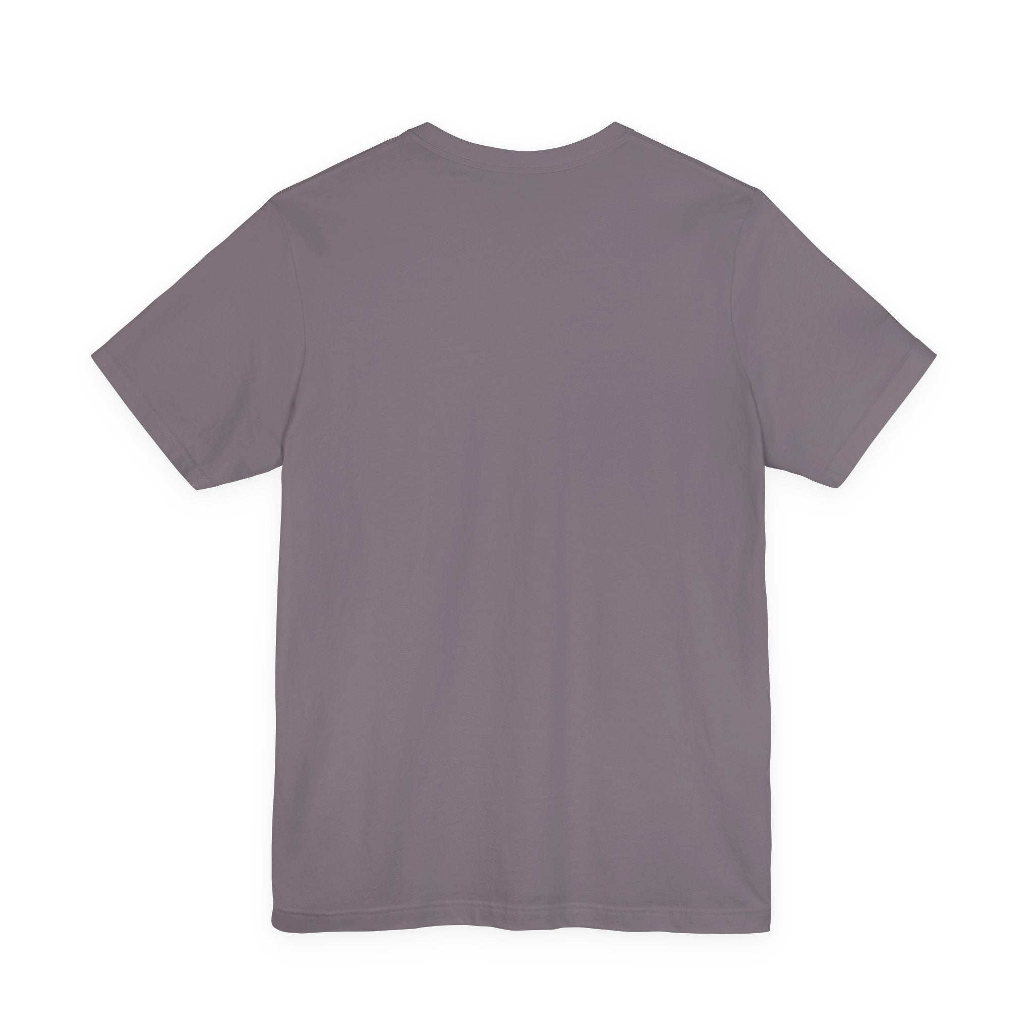 Illinois State Pride Tee - Deez Teez