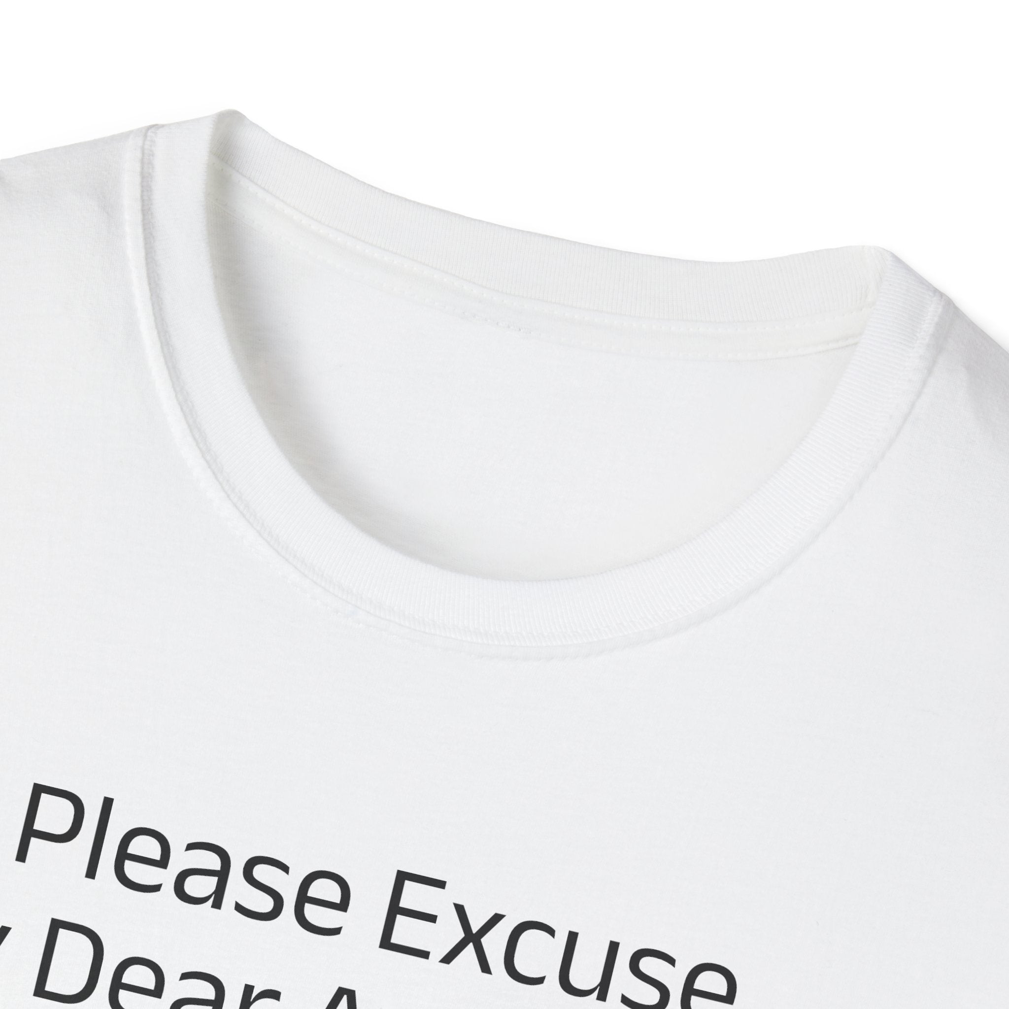 'Please Excuse My Dear Aunt Sally' T-Shirt | Mathematical Order of Operations Humor Tee