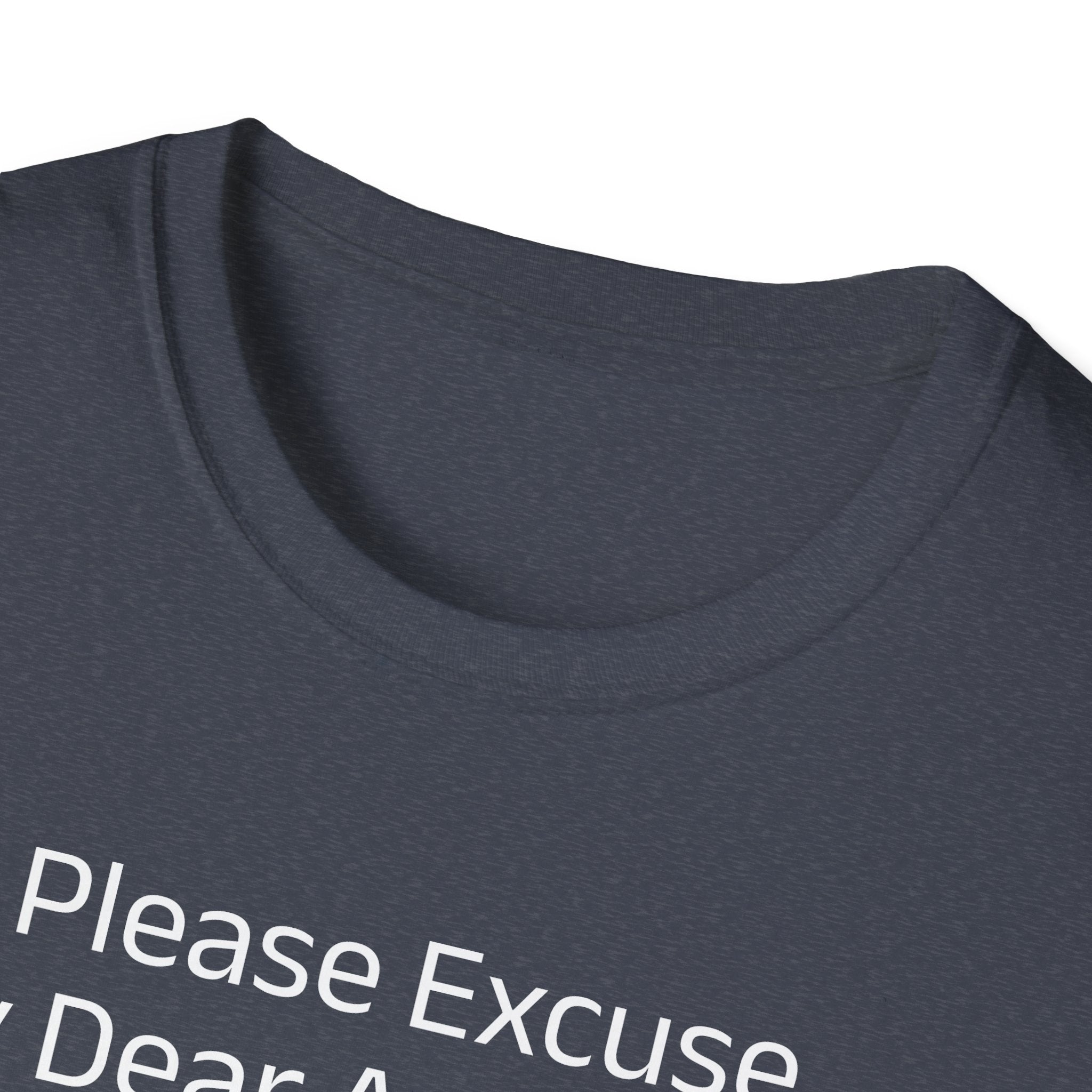 'Please Excuse My Dear Aunt Sally' T-Shirt | Mathematical Order of Operations Humor Tee