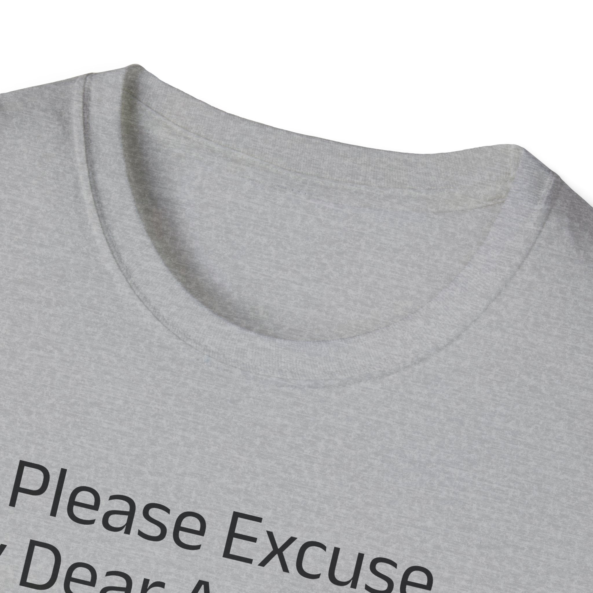 'Please Excuse My Dear Aunt Sally' T-Shirt | Mathematical Order of Operations Humor Tee