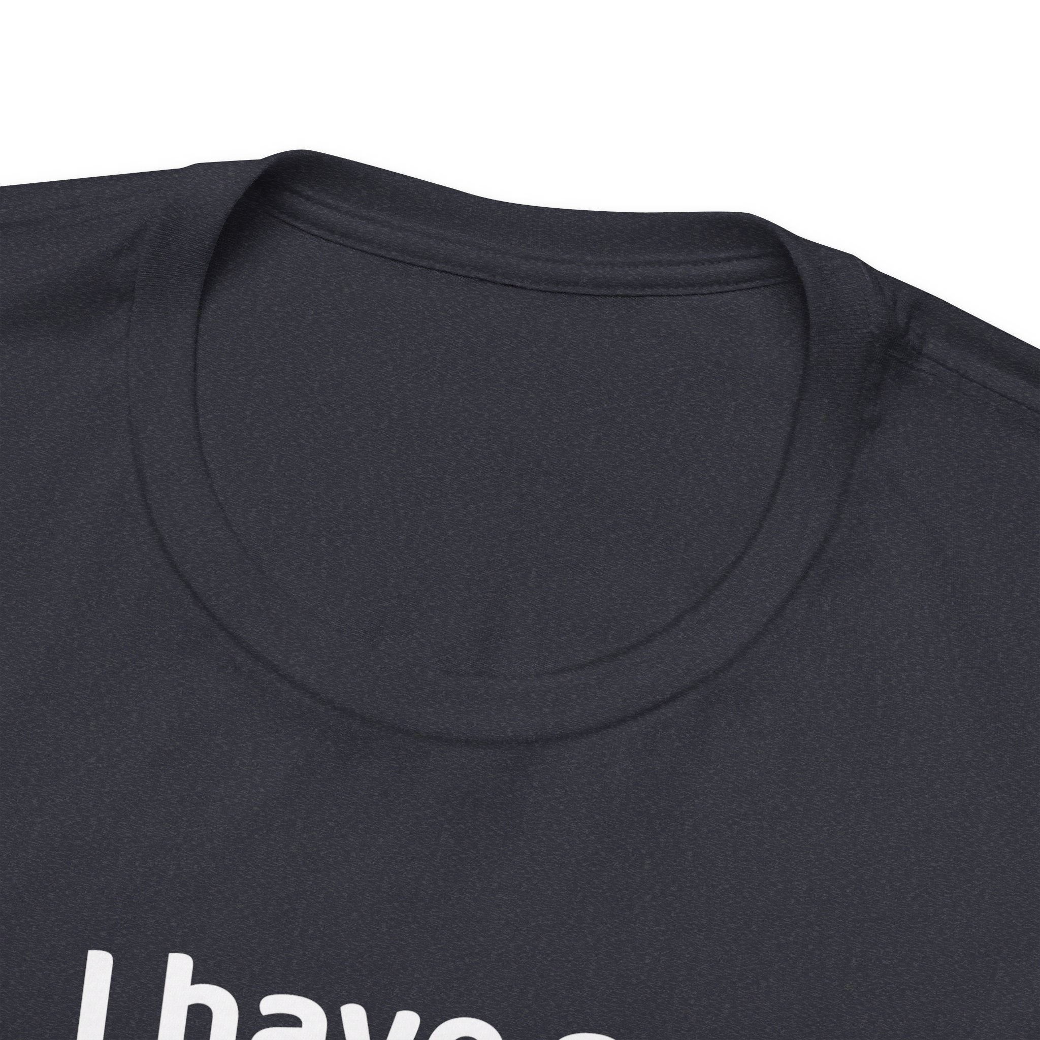 I Have No Pronouns (Do Not Refer To Me) T-Shirt | Relatable Introvert Clapback