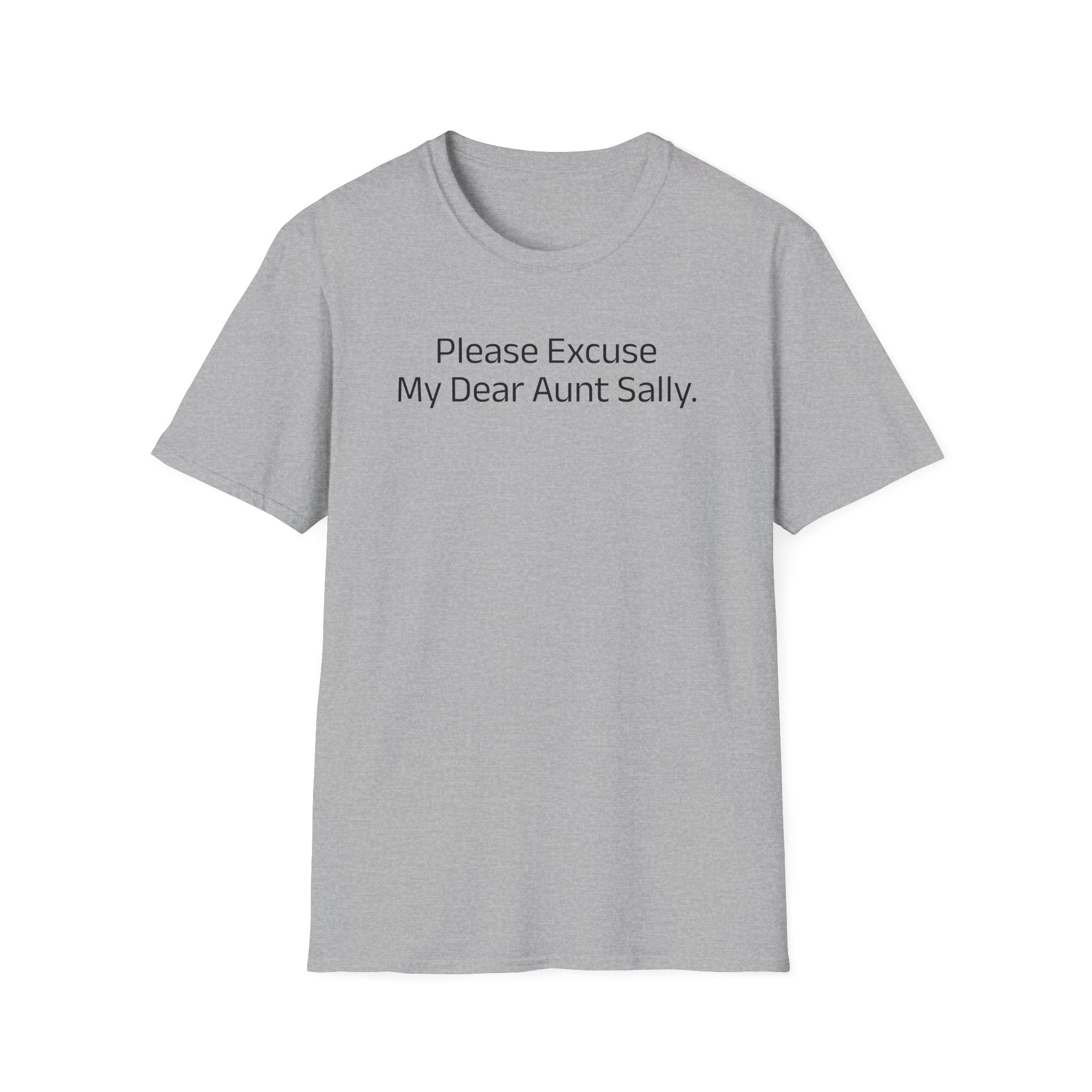 'Please Excuse My Dear Aunt Sally' T-Shirt | Mathematical Order of Operations Humor Tee