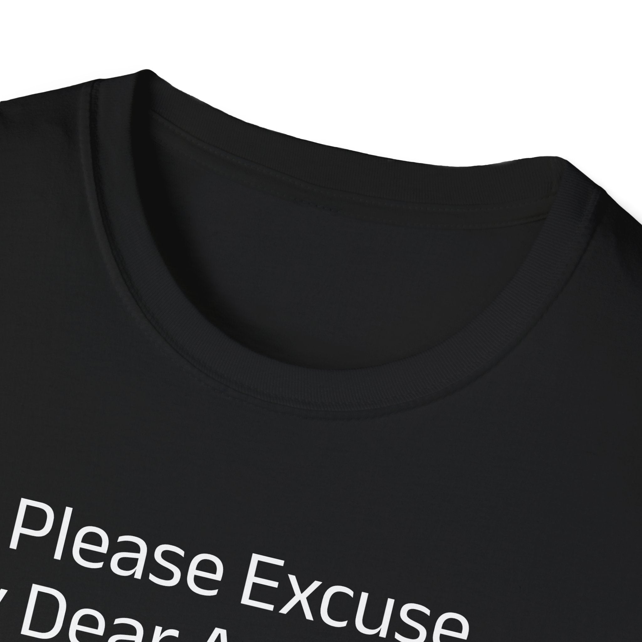 'Please Excuse My Dear Aunt Sally' T-Shirt | Mathematical Order of Operations Humor Tee